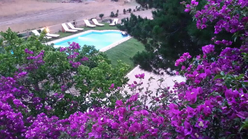 Elli Beach Apartments And Studios Almiros Beach Room photo